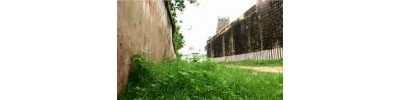 30. திருவண் புருடோத்தமம்